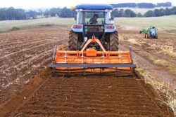 Cosmo Bully UHH Series