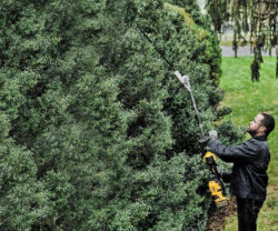 DeWALT Pole Hedge Trimmer Attachment