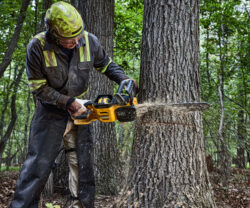 DCMCS575N-XE 54V CHAINSAW SKIN only