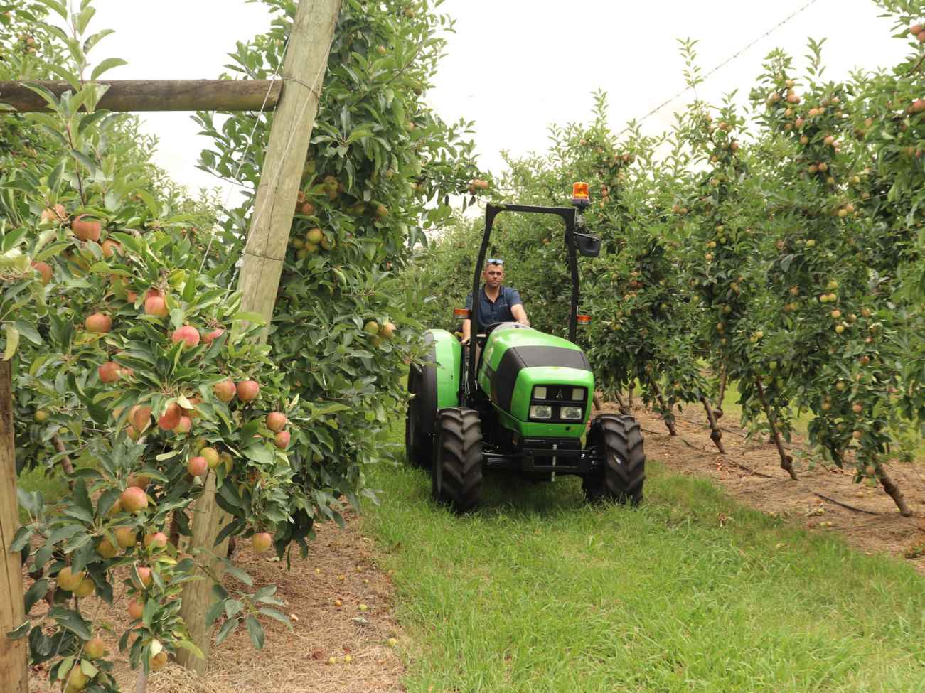 Deutz-Fahr-Agroplus-F80.4-Keyline