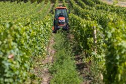 Kubota M5-1 Series Narrow