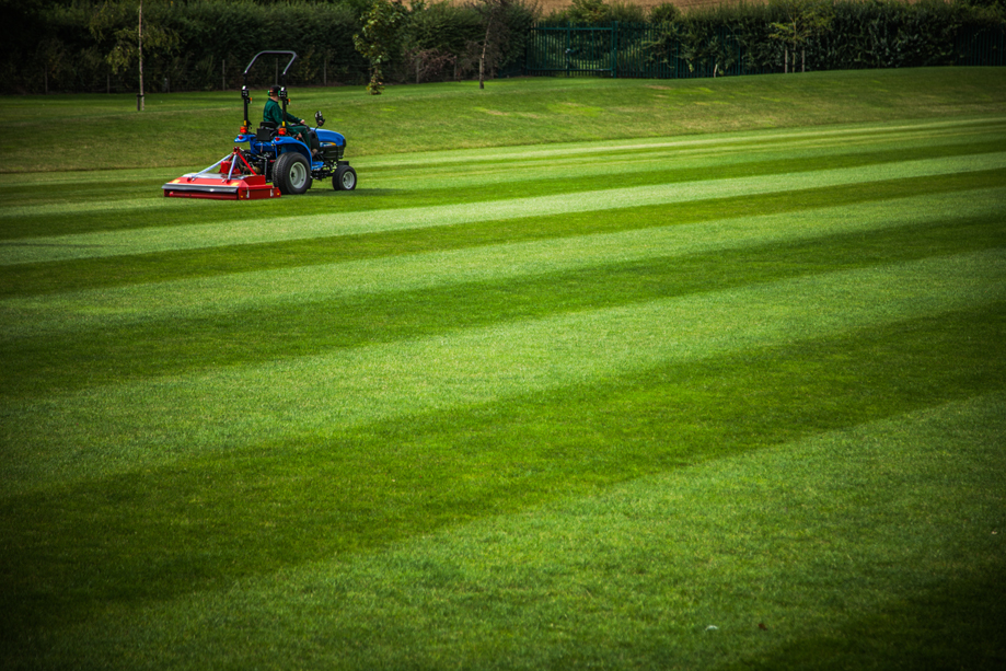 Trimax Striker - Image 3