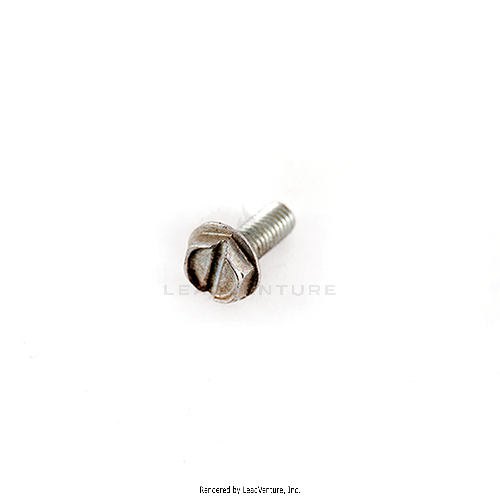 00013669 - HEX WASHER SCREW