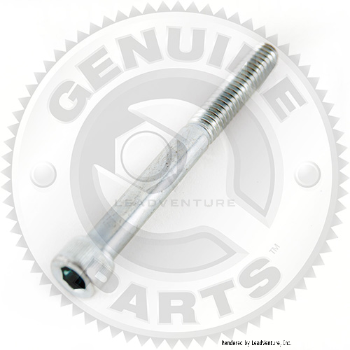 00019962 - SOCKET HEAD SCREW 1/4-20 x .500