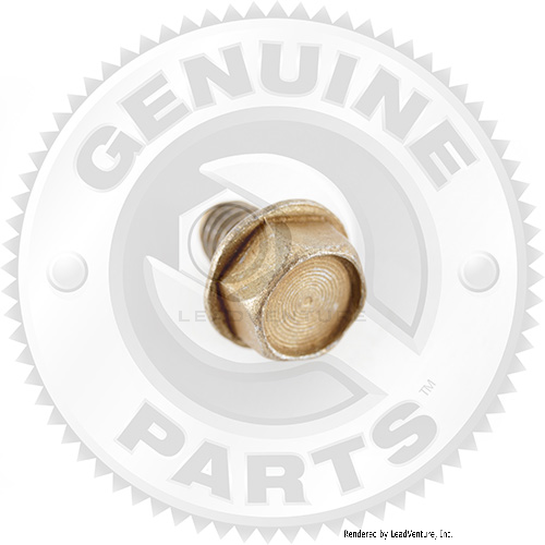 01004304 - SELF TAPP SCREW