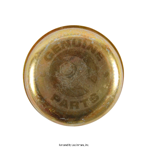 01006347 - GREASE CAP