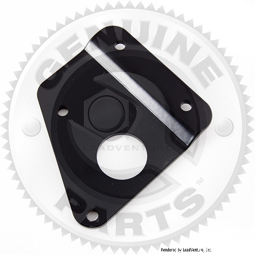 01006409 - PEDAL BACKUP PLATE