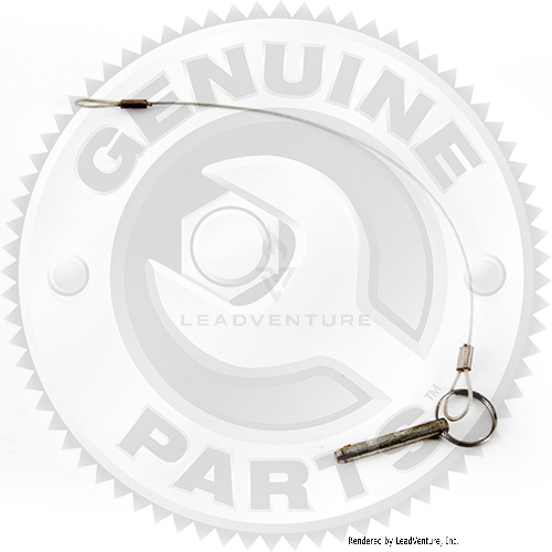 01006786 - DETENT PIN-1/4" W/CABLE