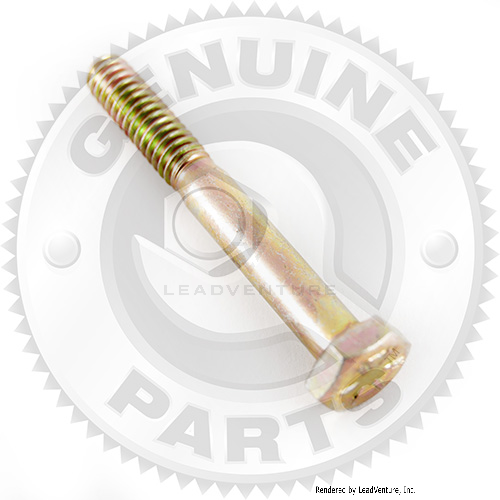 01006898 - SCREW  1/4