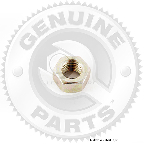 01008576P - HEX NUT        (LH)