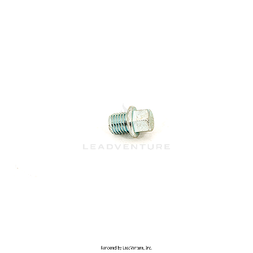 710-04907 - DRAIN BOLT M10 x 1.25