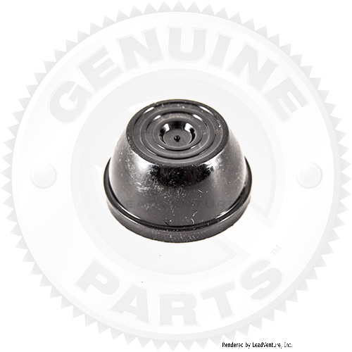 726-05029 - PUSH CAP   .250