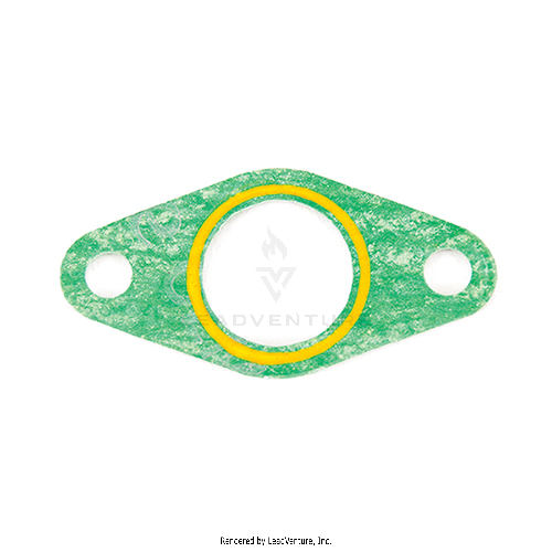 921-04407 - MANIFOLD GASKET