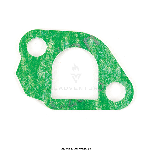 921-04419 - MANIFOLD GASKET