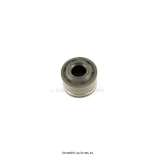 921-04705 - INTAKE VALVE SEAL