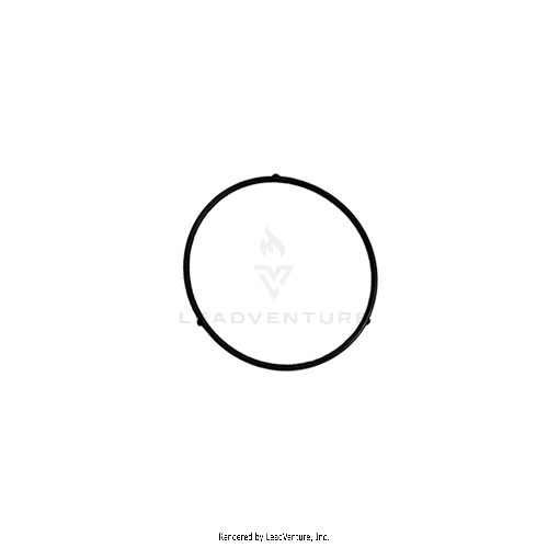 951-11589 - FUEL BOWL O-RING