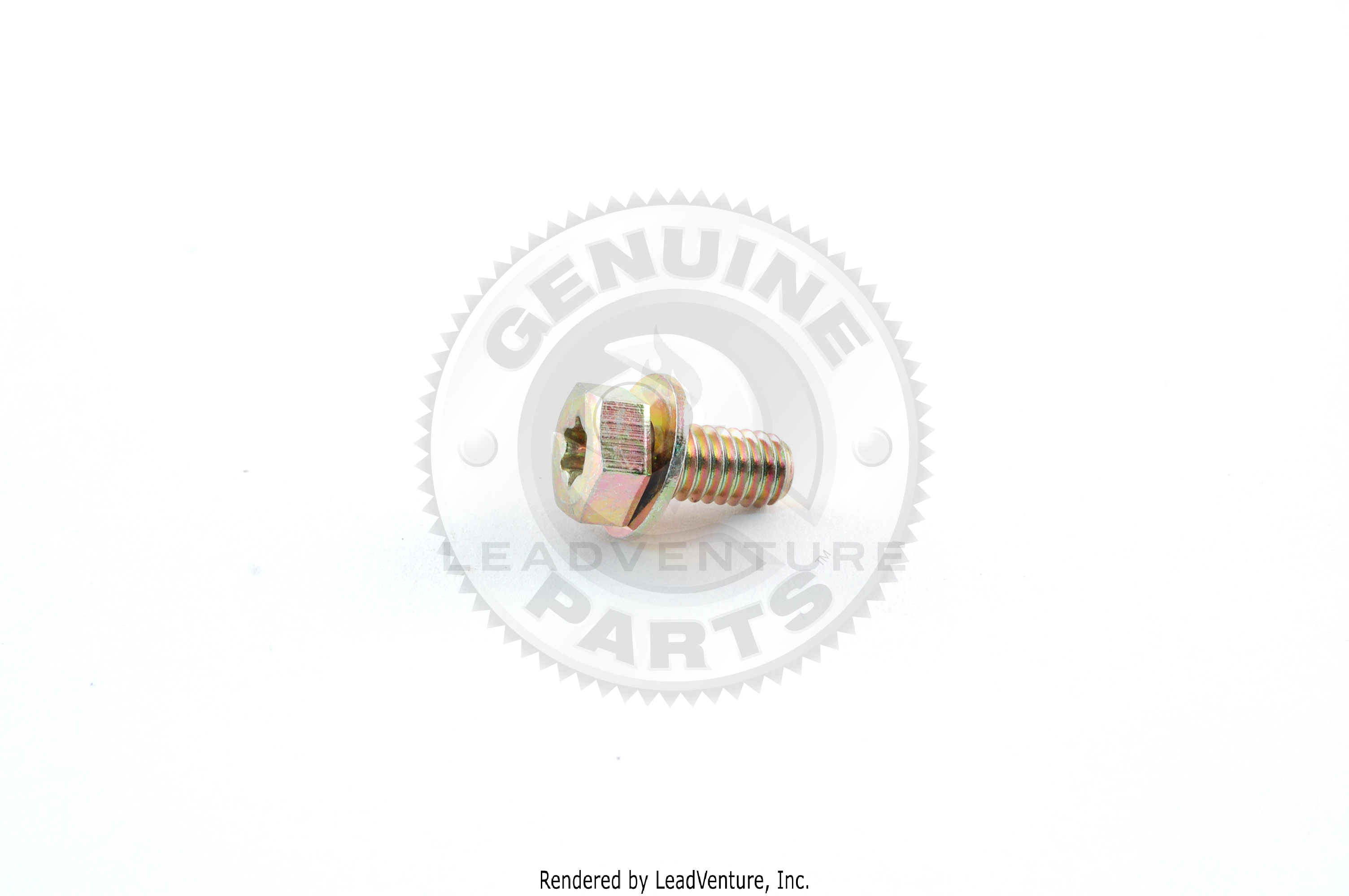 BS-690372 - SCREW