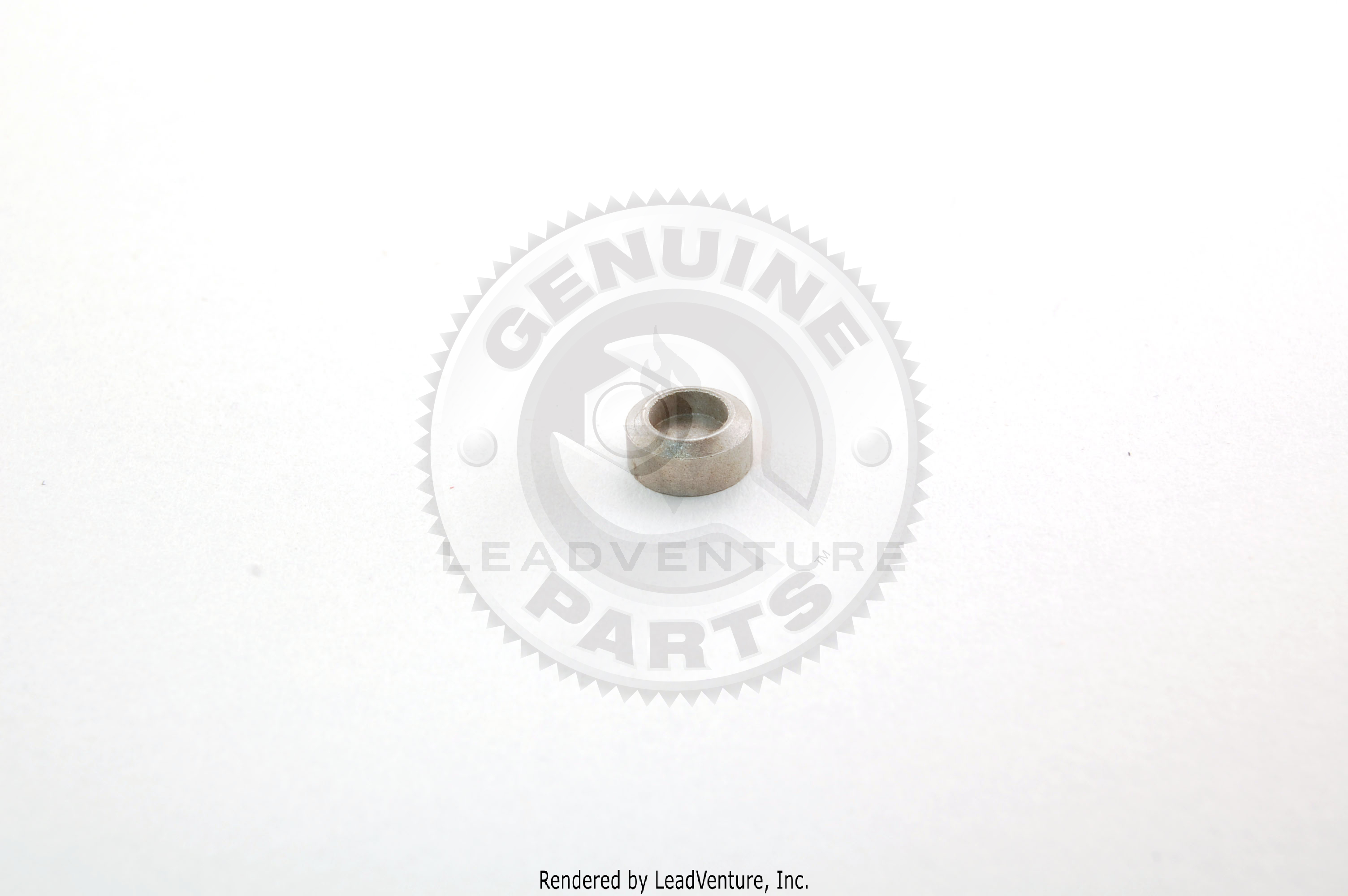 BS-691843 - VALVE CAP