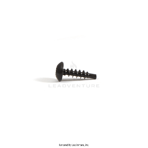 BS-697897 - SCREW