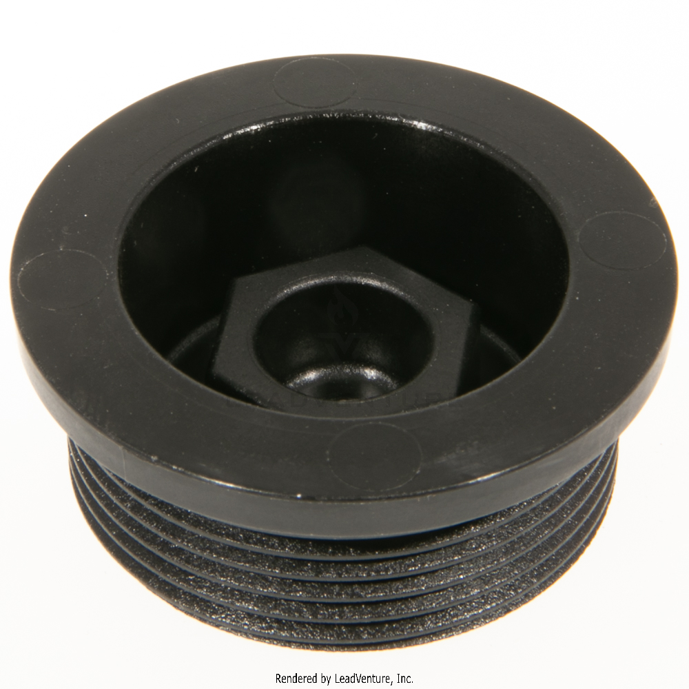 PH-036325 - PLUG & O-RING ASSE